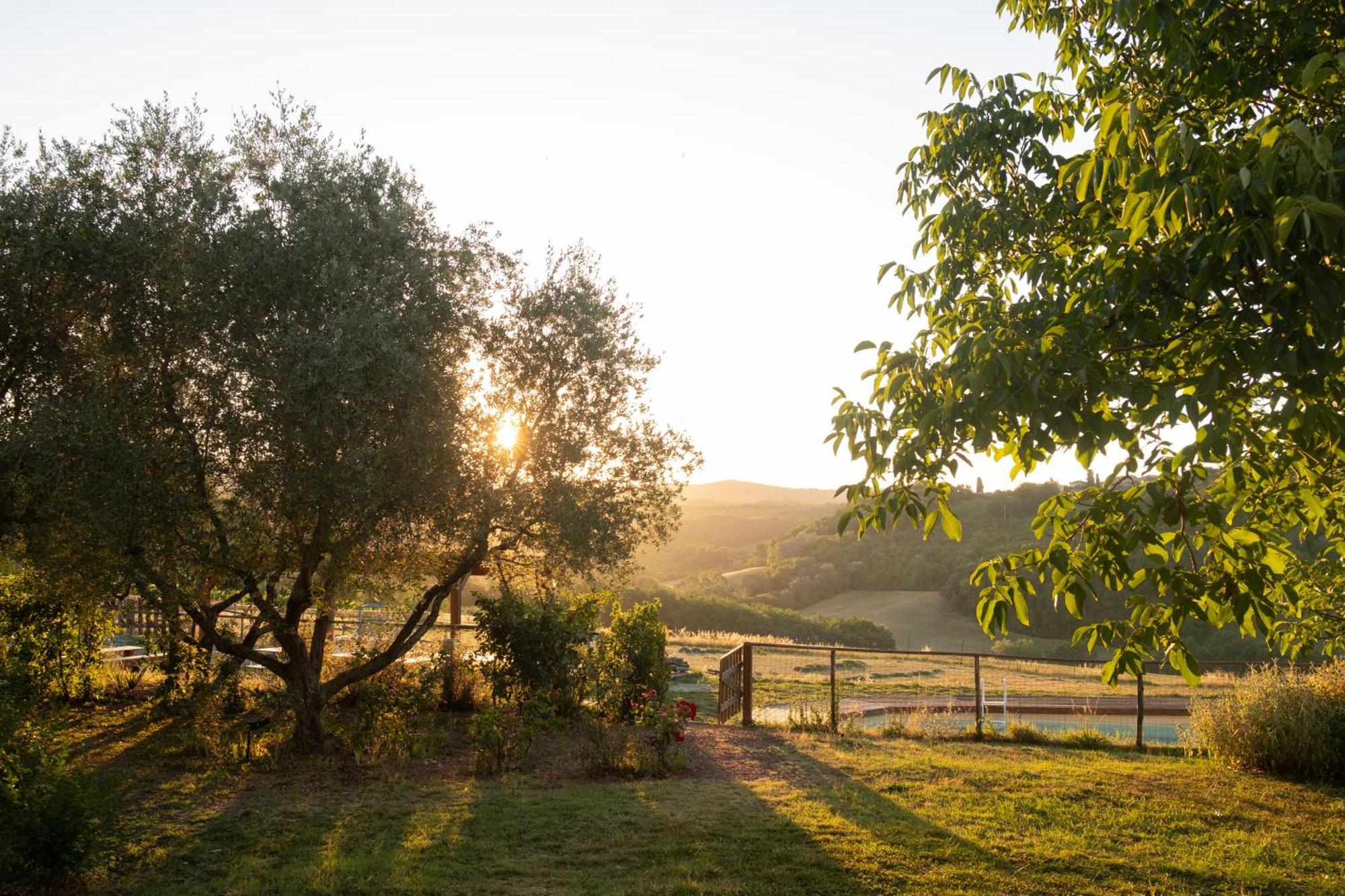 Agriturismo Le Tre Pietre - Podere Nel Chianti Quercegrossa Exterior photo